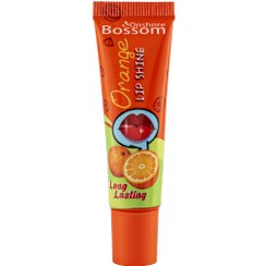 براق کننده لب بوسوم انشور پرتقال