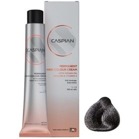 رنگ کاسپین شماره ۶.۱ دودی تیره متوسط